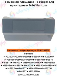 (301022062001) Площадка тормозная в сборе для Pantum P2200/P2500/M6500/M6600 CVT