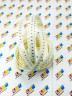 Предохранитель 0603 SMD "Z" 2A 36V тип 0603 (1 штука) CVT